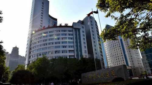 秀山代孕哪个公司最专业,在大庆油田乘风医院做第一代试管婴儿要多少钱？