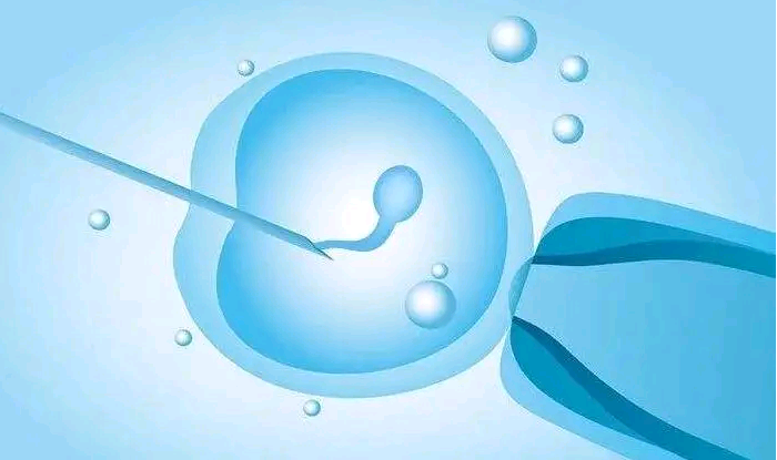 广州一商业机构为男性提供代孕服务被查：最低60万，可与客户共同生活-跑胡子