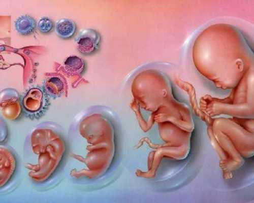 郑州借卵生子试管医院排名公布，附2023河南供卵生男孩医院名单-随喜放生一般