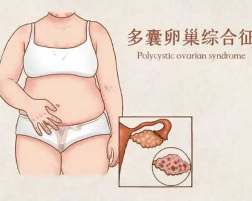 乐山代孕公司哪家专业,徐州试管婴儿成功率排名中哪家医院比较好？