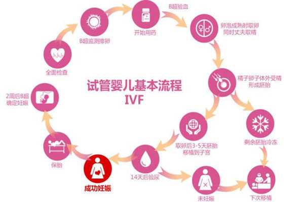 忻州试管代孕条件,超详细试管婴儿的十大具体步骤流程-上海正规供卵试管婴儿