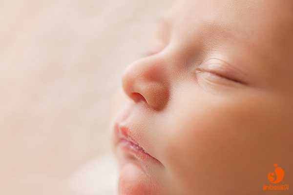 潮州国家允许借卵生子_同志做美国试管婴儿第三方辅助生育的环球选择