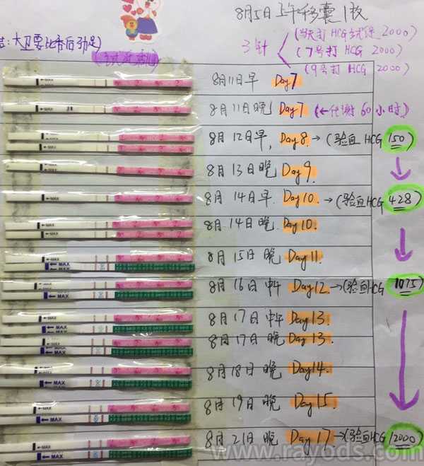 香港40岁供卵试管单次成功率_试管婴儿移植14天血值多少才是双胞胎