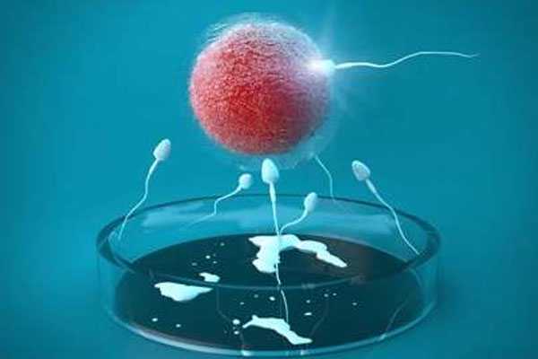 石柱50岁供卵试管案例_患有多囊卵巢综合征可以做汕头三代试管婴儿吗？