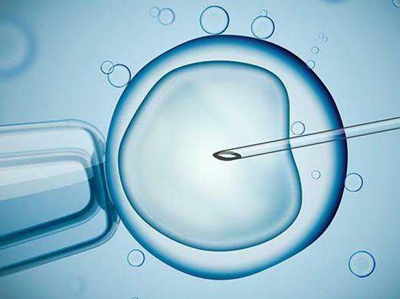 供精试管做几代的好_试管婴儿供卵捐卵_西昌有精子库可以买精子人工受孕吗？