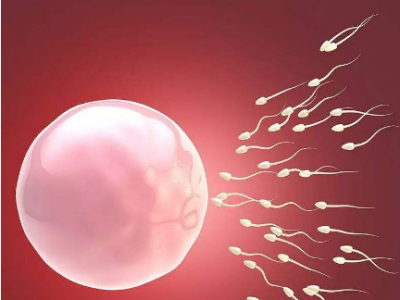 白银代孕安全吗_聚焦：嘉峪关抗精子抗体阳性可以做试管婴儿么